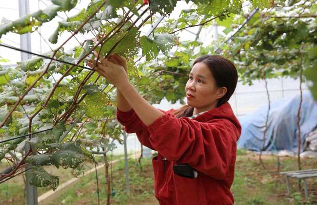 Phát triển du lịch cộng đồng, dịch vụ và bảo tồn giá trị văn hóa góp phần nâng cao đời sống người dân vùng biên - Ảnh 1. Phát triển du lịch cộng đồng, dịch vụ và bảo tồn giá trị văn hóa góp phần nâng cao đời sống người dân vùng biên - Ảnh 1.