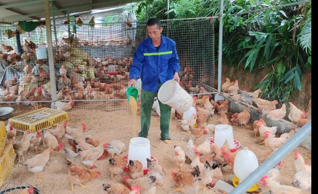 Phát triển du lịch cộng đồng, dịch vụ và bảo tồn giá trị văn hóa góp phần nâng cao đời sống người dân vùng biên - Ảnh 2. Phát triển du lịch cộng đồng, dịch vụ và bảo tồn giá trị văn hóa góp phần nâng cao đời sống người dân vùng biên - Ảnh 2.