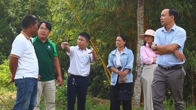 Phát triển du lịch gắn với giảm nghèo tại khu vực A Lưới - Ảnh 1.