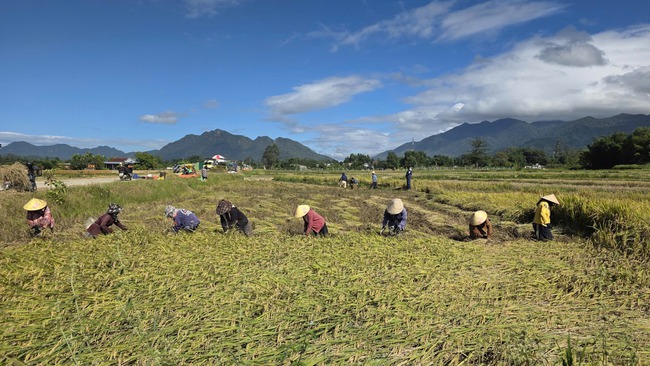 Phát triển du lịch gắn với giảm nghèo tại khu vực A Lưới - Ảnh 2.