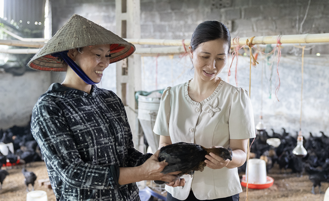 Xã Hiển Khánh, Ninh Bình: Nhiều mô hình phát triển kinh tế bền vững - Ảnh 1. Xã Hiển Khánh, Ninh Bình: Nhiều mô hình phát triển kinh tế bền vững - Ảnh 1.