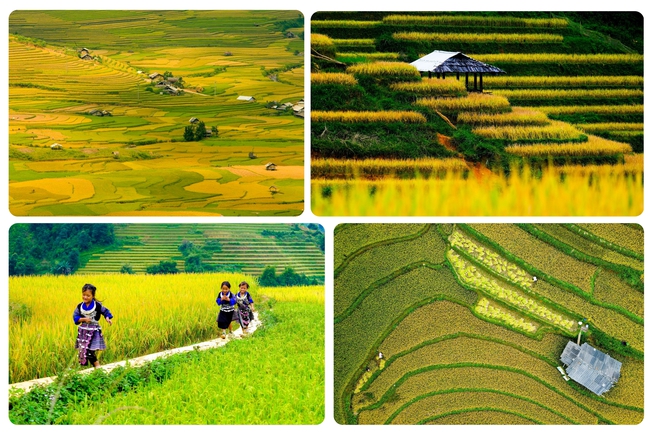 Di tích Quốc gia đặc biệt Ruộng bậc thang Mù Cang Chải - Nét văn hóa đặc sắc vùng cao - Ảnh 3.