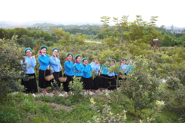 Khám phá Sóong Cọ, đánh quay truyền thống tại Ngày hội Văn hóa Hải Sơn - Ảnh 3.