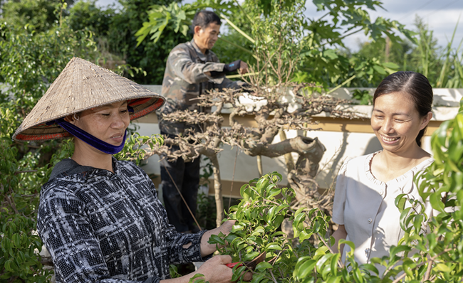 Khánh Hòa: Đẩy mạnh phát triển các mô hình giảm nghèo để tạo việc làm, sinh kế bền vững - Ảnh 1. Khánh Hòa: Đẩy mạnh phát triển các mô hình giảm nghèo để tạo việc làm, sinh kế bền vững - Ảnh 1.