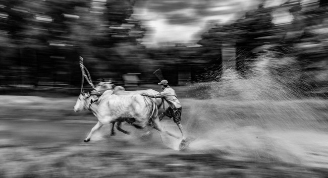 Lễ hội Đua bò Bảy Núi- Lễ hội truyền thống độc đáo của đồng bào Khmer - Ảnh 3. Lễ hội Đua bò Bảy Núi- Lễ hội truyền thống độc đáo của đồng bào Khmer - Ảnh 3.