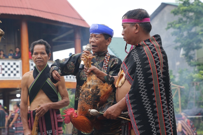 Hướng đi mới cho lễ hội Mừng lúa mới của đồng bào Cơ Tu - Ảnh 1. Hướng đi mới cho lễ hội Mừng lúa mới của đồng bào Cơ Tu - Ảnh 1.