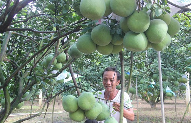 Đồng Nai: Tạo việc làm cho người dân qua mô hình du lịch cộng đồng gắn với nông nghiệp - Ảnh 1.