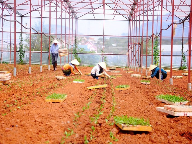 Phát huy nội lực người dân và hệ thống chính trị cơ sở: Chìa khóa để giảm nghèo bền vững trong giai đoạn mới - Ảnh 3. Phát huy nội lực người dân và hệ thống chính trị cơ sở: Chìa khóa để giảm nghèo bền vững trong giai đoạn mới - Ảnh 3.