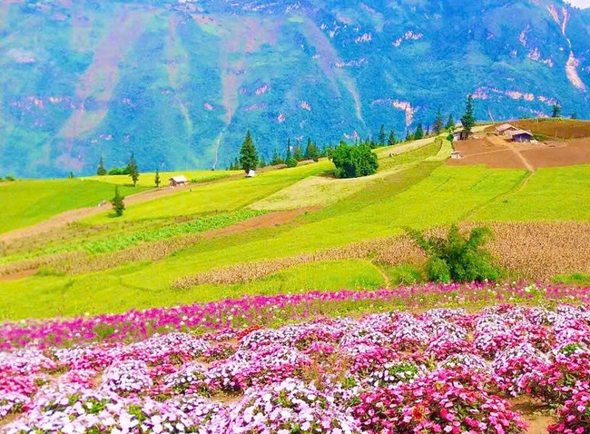 Tuyên Quang: Gắn phát triển du lịch sinh thái với bảo tồn bản sắc văn hóa dân tộc tại thôn Suôi Thầu - Ảnh 1. Tuyên Quang: Gắn phát triển du lịch sinh thái với bảo tồn bản sắc văn hóa dân tộc tại thôn Suôi Thầu - Ảnh 1.