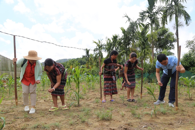 Nhìn nhận lợi thế, phát triển du lịch vùng núi phía Tây TP Huế - Ảnh 7.