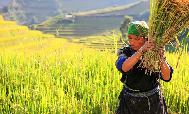 Từ chủ trương đến đời sống: Hành trình đưa chính sách giảm nghèo vào từng gia đình, từng cộng đồng - Ảnh 1.
