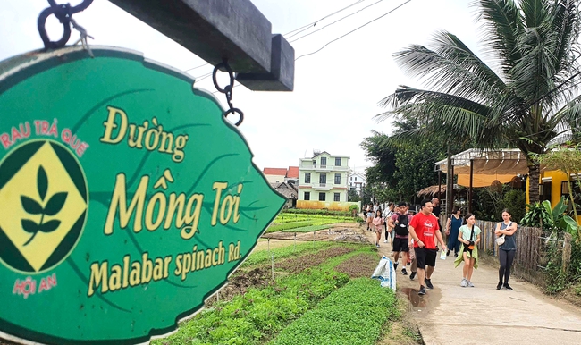 Thúc đẩy kinh tế xanh, bảo tồn bản sắc để tạo sinh kế bền vững tại nông thôn - Ảnh 7. Thúc đẩy kinh tế xanh, bảo tồn bản sắc để tạo sinh kế bền vững tại nông thôn - Ảnh 7.