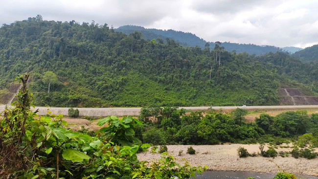 Gìn giữ văn hóa đồng bào Cơ Tu, tạo sinh kế từ du lịch cộng đồng - Ảnh 1.