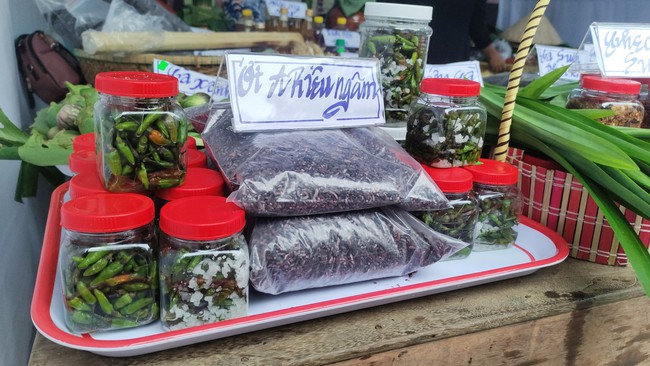 Gìn giữ văn hóa đồng bào Cơ Tu, tạo sinh kế từ du lịch cộng đồng - Ảnh 9.