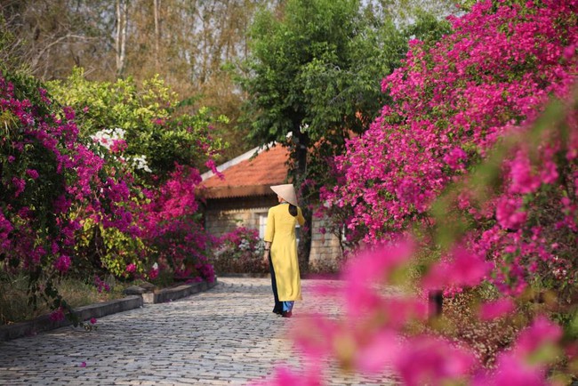Lan tỏa giá trị văn hóa từng vùng đất qua Liên hoan Nghệ thuật quần chúng Khu dân cư toàn quốc - Ảnh 1.