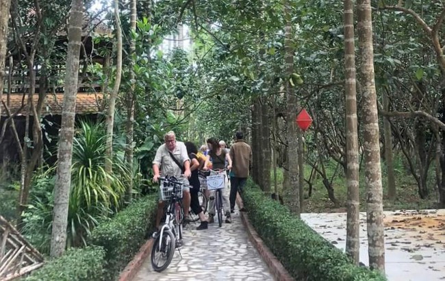 Đánh thức tiềm năng du lịch từ các vườn thanh trà Huế - Ảnh 8. Đánh thức tiềm năng du lịch từ các vườn thanh trà Huế - Ảnh 8.