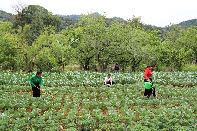 Đề nghị Chính phủ sớm trình Quốc hội Chương trình Mục tiêu Quốc gia duy nhất (2026-2035) - Ảnh 1.