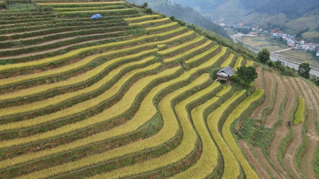 Hợp nhất các chương trình mục tiêu quốc gia: Kỳ vọng tạo ra một cú hích mạnh mẽ - Ảnh 1.