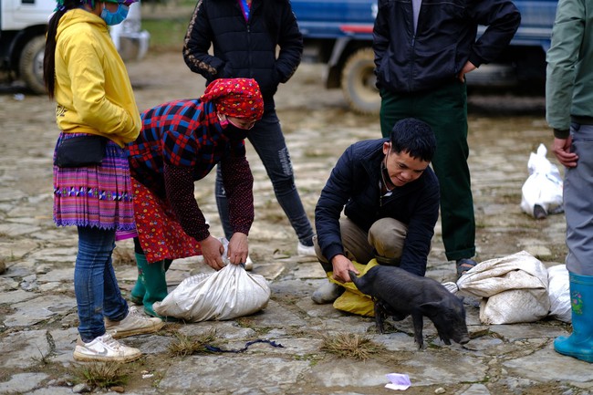 Chương trình MTQG hợp nhất 2026- 2035: Các giải pháp then chốt - Ảnh 2.
Chương trình MTQG hợp nhất 2026- 2035: Các giải pháp then chốt - Ảnh 2.
