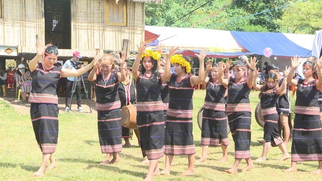 Tuần lễ Hoa Dã Quỳ - Núi lửa Chư Đang Ya năm 2025 - Ảnh 1. Tuần lễ Hoa Dã Quỳ - Núi lửa Chư Đang Ya năm 2025 - Ảnh 1.