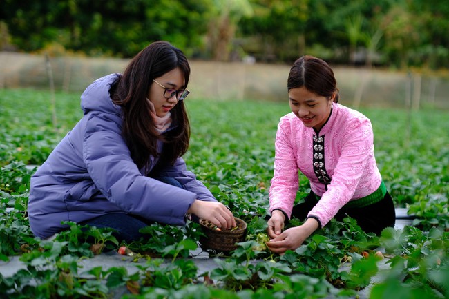 Thiết kế Chương trình MTQG mới: Kế thừa 20 năm thực tiễn, đảm bảo phân cấp mạnh - Ảnh 8. Thiết kế Chương trình MTQG mới: Kế thừa 20 năm thực tiễn, đảm bảo phân cấp mạnh - Ảnh 8.