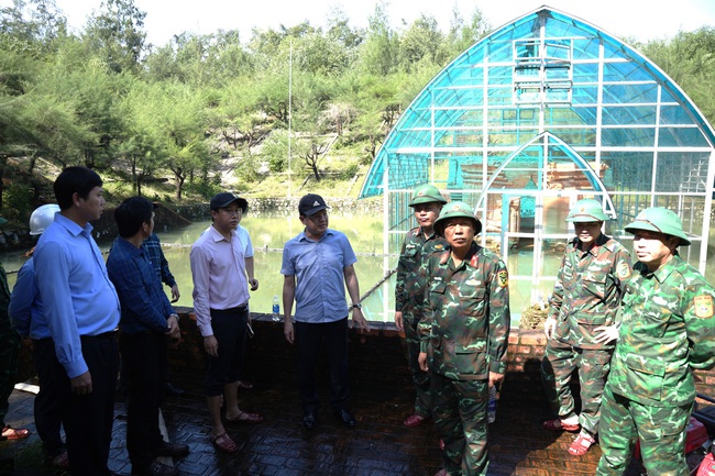 Khắc phục ngập nước tại di tích quốc gia Tháp Chăm Phú Diên - Ảnh 1. Khắc phục ngập nước tại di tích quốc gia Tháp Chăm Phú Diên - Ảnh 1.