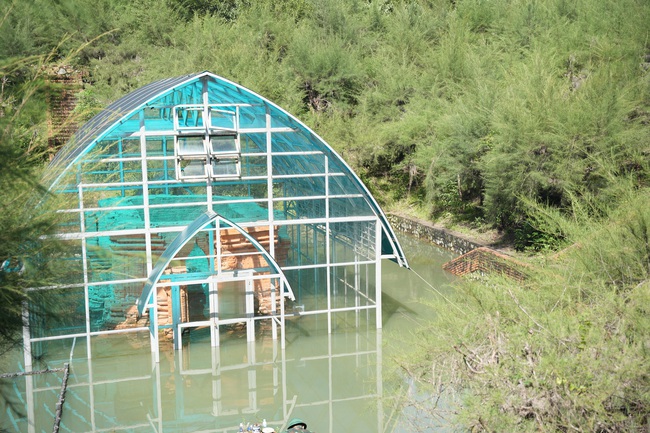 Khắc phục ngập nước tại di tích quốc gia Tháp Chăm Phú Diên - Ảnh 2. Khắc phục ngập nước tại di tích quốc gia Tháp Chăm Phú Diên - Ảnh 2.