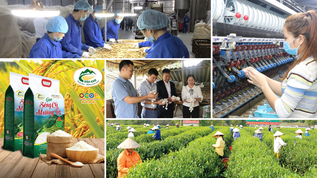 Lào Cai: Điểm sáng trong phát triển kinh tế nông nghiệp và xóa đói giảm nghèo - Ảnh 1. Lào Cai: Điểm sáng trong phát triển kinh tế nông nghiệp và xóa đói giảm nghèo - Ảnh 1.