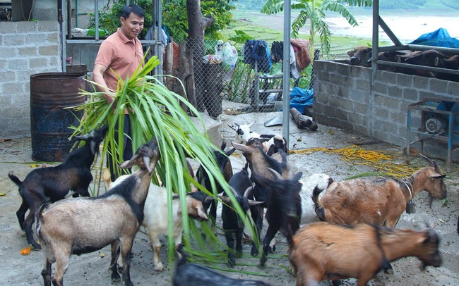 Tín dụng chính sách - động lực giảm nghèo bền vững ở Sơn La - Ảnh 1. Tín dụng chính sách - động lực giảm nghèo bền vững ở Sơn La - Ảnh 1.