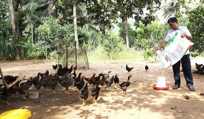 Tín dụng chính sách giúp phát triển kinh tế xóa đói, giảm nghèo bền vững tại Gia Lai - Ảnh 1.