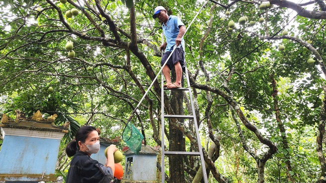 TP Huế hướng tới mục tiêu không còn hộ nghèo vào năm 2030 - Ảnh 2. TP Huế hướng tới mục tiêu không còn hộ nghèo vào năm 2030 - Ảnh 2.