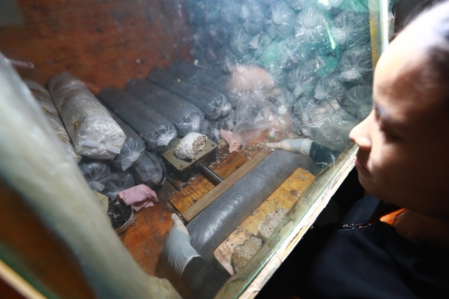 Trồng nấm hữu cơ: Mô hình hiệu quả giúp người dân thoát nghèo - Ảnh 9. Trồng nấm hữu cơ: Mô hình hiệu quả giúp người dân thoát nghèo - Ảnh 9.