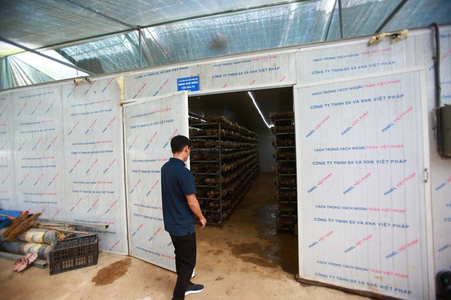 Trồng nấm hữu cơ: Mô hình hiệu quả giúp người dân thoát nghèo - Ảnh 5. Trồng nấm hữu cơ: Mô hình hiệu quả giúp người dân thoát nghèo - Ảnh 5.