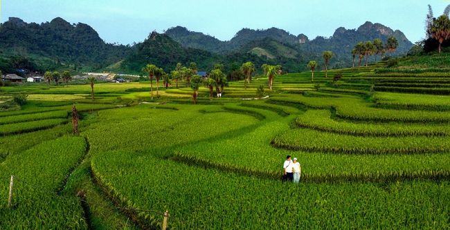 Khai mở tiềm năng vùng đồng bào dân tộc thiểu số và miền núi: Hướng đi mới để thu hút đầu tư bền vững - Ảnh 2.