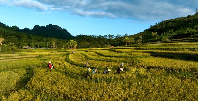 Khai mở tiềm năng vùng đồng bào dân tộc thiểu số và miền núi: Hướng đi mới để thu hút đầu tư bền vững - Ảnh 1.