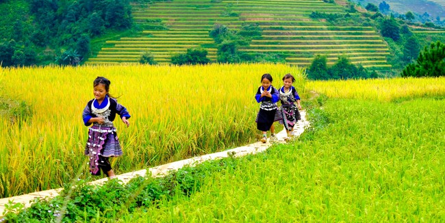 Từ thế giới đến Việt Nam: Bài học giảm nghèo và khả năng vận dụng vào thực tiễn - Ảnh 1.