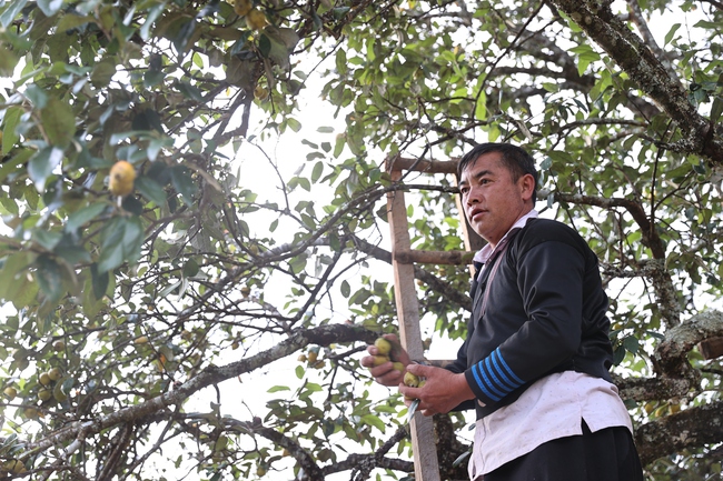 "Đánh thức Đà Lạt của Tây Bắc": Du lịch cộng đồng là chìa khóa thoát nghèo bền vững - Ảnh 3.