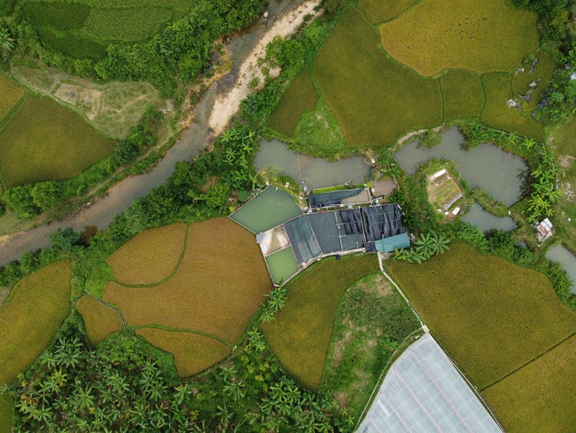 
Chương trình MTQG hợp nhất 2026- 2035: Các giải pháp then chốt - Ảnh 2.