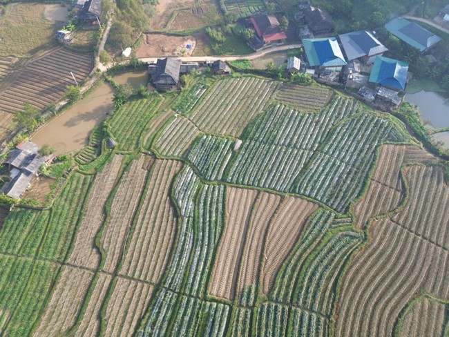 Phú Thọ: Đánh thức tiềm năng kinh tế vùng cao qua làn sóng đầu tư mới - Ảnh 1.