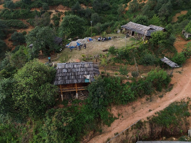 Cây Sơn Tra- nguồn tài nguyên du lịch và kinh tế quan trọng ở Nậm Nghẹp - Ảnh 2.