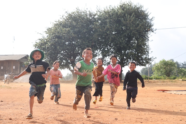 Cây Sơn Tra- nguồn tài nguyên du lịch và kinh tế quan trọng ở Nậm Nghẹp - Ảnh 11.