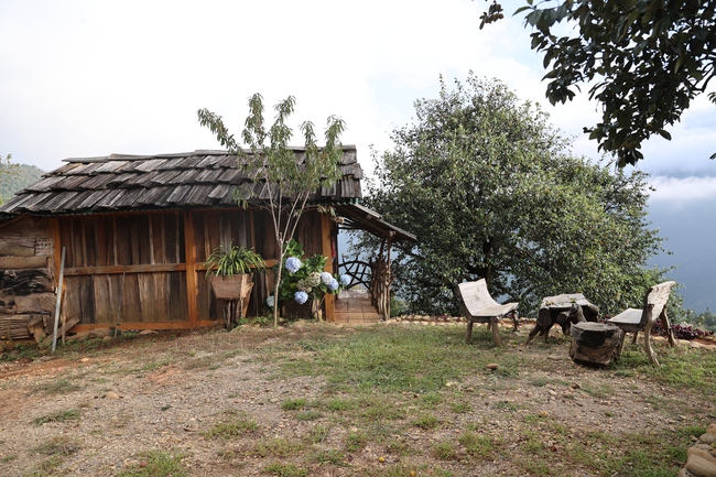 Cây Sơn Tra- nguồn tài nguyên du lịch và kinh tế quan trọng ở Nậm Nghẹp - Ảnh 3.