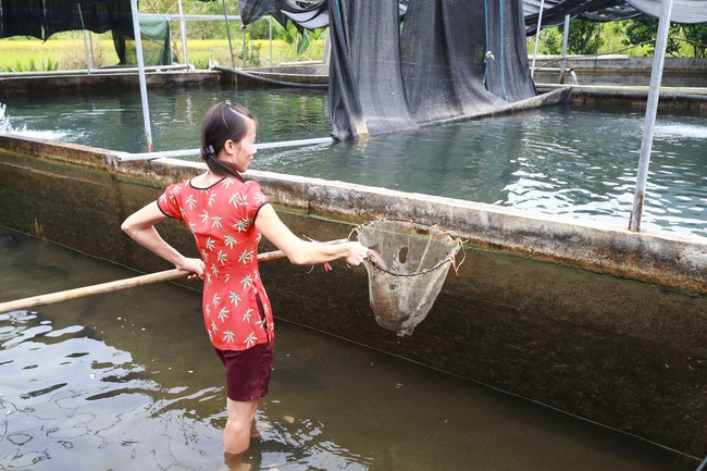 
Chương trình MTQG hợp nhất 2026- 2035: Các giải pháp then chốt - Ảnh 3.