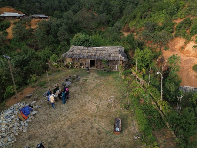 Cây Sơn Tra- nguồn tài nguyên du lịch và kinh tế quan trọng ở Nậm Nghẹp - Ảnh 4.