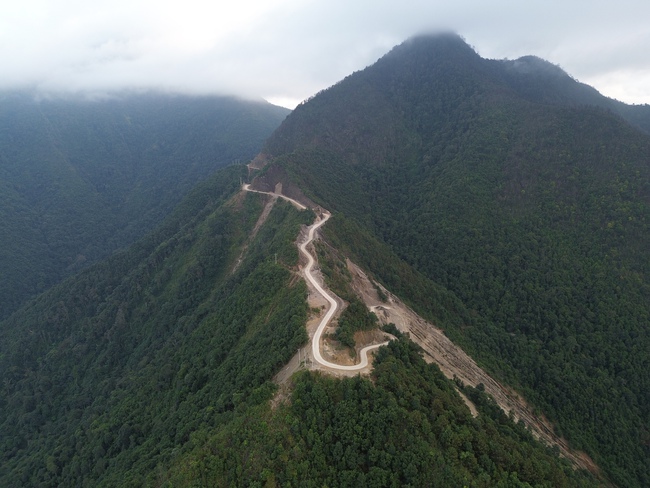 Cây Sơn Tra- nguồn tài nguyên du lịch và kinh tế quan trọng ở Nậm Nghẹp - Ảnh 1.