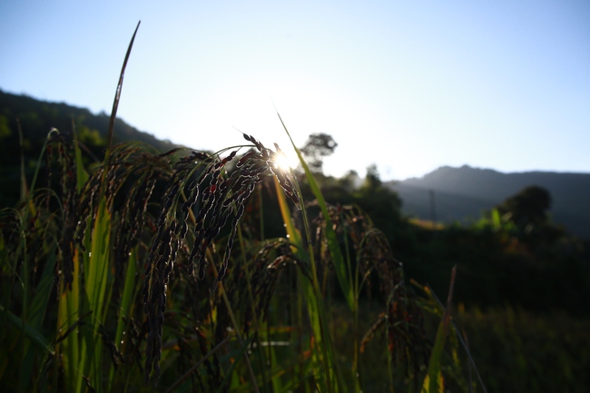 Đề nghị Chính phủ sớm trình Quốc hội Chương trình Mục tiêu Quốc gia duy nhất (2026-2035) - Ảnh 3.