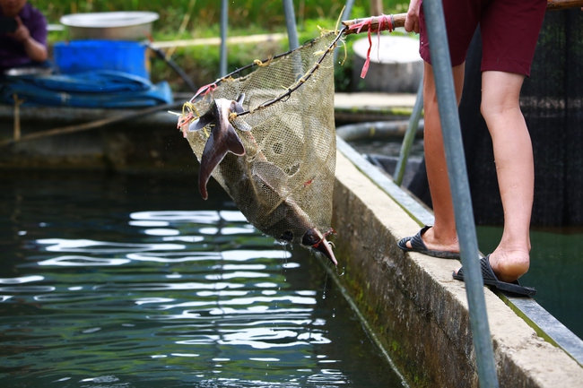 
Chương trình MTQG hợp nhất 2026- 2035: Các giải pháp then chốt - Ảnh 4.