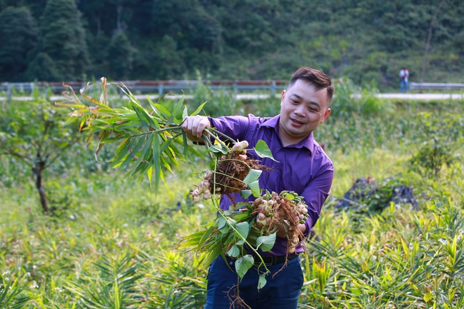 Vì sao cần hợp nhất các chương trình mục tiêu quốc gia? - Ảnh 3.