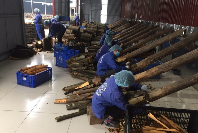 Lào Cai: Điểm sáng trong phát triển kinh tế nông nghiệp và xóa đói giảm nghèo - Ảnh 2.