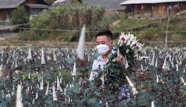 Lào Cai: Điểm sáng trong phát triển kinh tế nông nghiệp và xóa đói giảm nghèo - Ảnh 3.
